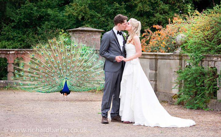 Couple kissing by a peacock
